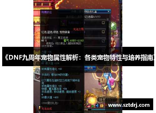 《DNF九周年宠物属性解析：各类宠物特性与培养指南》