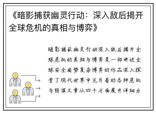 《暗影捕获幽灵行动：深入敌后揭开全球危机的真相与博弈》
